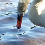 Deb White - @deb24247 - Instagram
