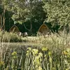 Deb White - @bluebellretreatglamping - TikTok