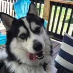 Deb White - @dawhite10 - Instagram