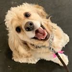 Deb Wiles - @cre8change2 - Instagram