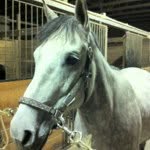 Deb Wiles - @debpgh - Instagram