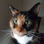@deb_wiles - Instagram