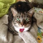 Deb Wiles - @debawiles - Instagram