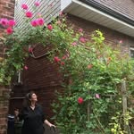 DebWiles - @debwiles_gardens - Instagram