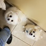Deb Ellingson Wilkins - @deb.wilkins.520 - Instagram
