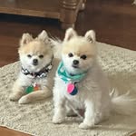 Deb Wilkins - @deb.wilkins.142 - Instagram