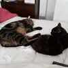 Deb Wilkinson - @deb.wilkinson0 - TikTok