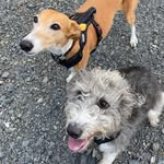 Debbie Wilkins - @deb.wilkinsxx - Instagram