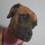 Deb Williamson - @deb_williamson0120 - Instagram