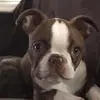 debwilliamson86 - @debwilliamson86 - TikTok