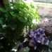 Debbie Willoughby - Facebook