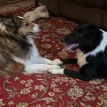 Deb Wolfe - @debwolfe32 - Instagram