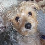 Deb - @deb__yorky8 - Instagram