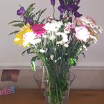 Debbie York - @deb_york - Instagram