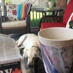Deb Young - @debyoung6188 - Instagram