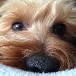 Deb Ward - @debyoung.1971 - Instagram