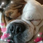 Deb Knight Yuhas - @deb.k.yuhas - Instagram