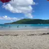 Deb Basak - @deb.basak - TikTok