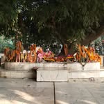 Debasis Bhattacharjee - @sharmistha6293 - Instagram