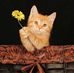 Debasis Nandy - Facebook