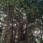 Debasis Nandy - @lens_painter - Instagram