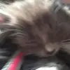 Debbey Buher - @debbey.buher - TikTok