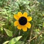 Debbie Lewis - @debbie.lewis.71271 - Instagram