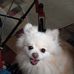 Debbie Lewis - Facebook