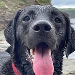 Debbie Adamson - @adamson8225 - Instagram