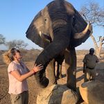 Debbie Adcock - @debbieadcock - Instagram