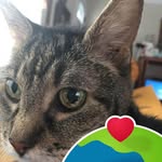 Debbie Albert - @debbiealbert68 - Instagram