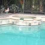 Debbie Albert - @debbiea1950 - Instagram
