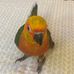Debbie Alfano - Facebook
