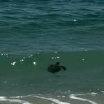 Debbie Rudnick D'Amato - @debbierudnickdamato - Instagram