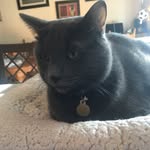 Debbie Ambrose - @daa0707 - Instagram
