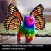 Debbie Andrus - Facebook