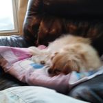 Debbie Andruskiewicz - @debbieandruskiewicz - Instagram