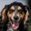 Debbie Appleton - @debbie.appleton1 - TikTok