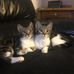 Debra Appleton - Facebook
