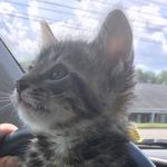 Debbie Arthur - @boobugbizzle - Instagram