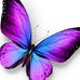 Debbie Arthur - Facebook