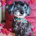 Debbie Artz - Facebook