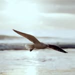 Debbie Artz - @vuelaaltogaviotamia - Instagram
