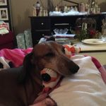 Debbie Ashcraft - @ashcraftdebbie - Instagram