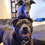 Debbie Aspinall - Facebook