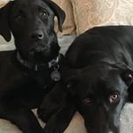 Debbie Atchley - @momma_atchley - Instagram