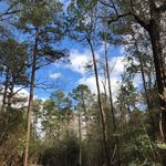 Debbie Baggett - @dzine4yourhome - Instagram
