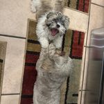 Debbie Baggett Curtis - @debbiebaggettcurtis - Instagram