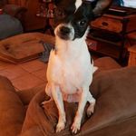 Debbie Bagshaw - @_debbie.bagshaw.5 - Instagram