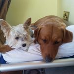 Debbie Balchin - @debbiebalchin - Instagram